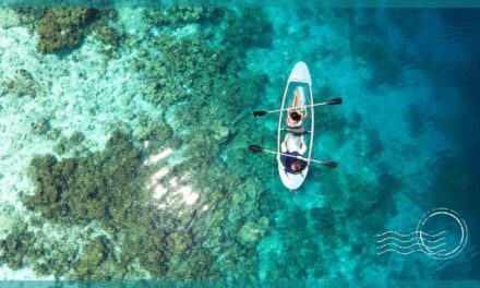 Top Most Interesting Things to do in Maafushi Maldives