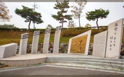 Your Questions Answered on How to Book DMZ tour from Seoul