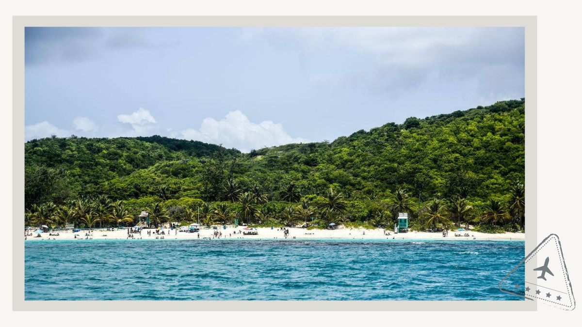 Catamaran day trip to Culebra Island and Flamenco Beach