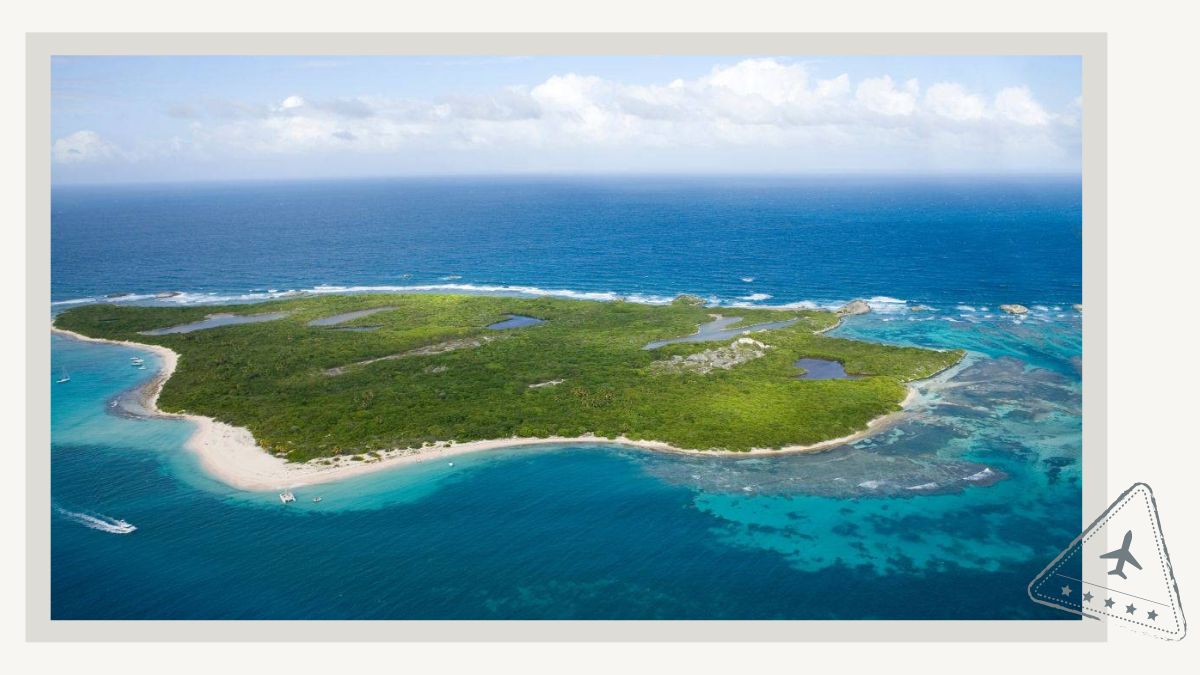 Catamaran day trip to Icacos Island