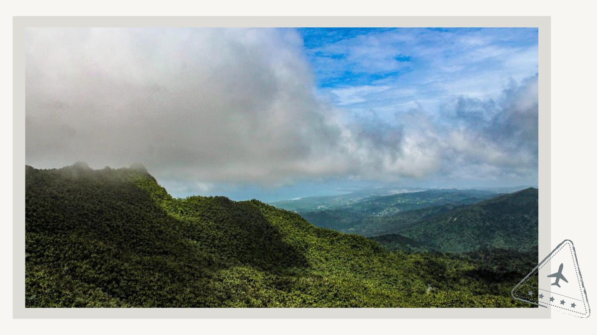 Day trip to El Yunque National Rainforest