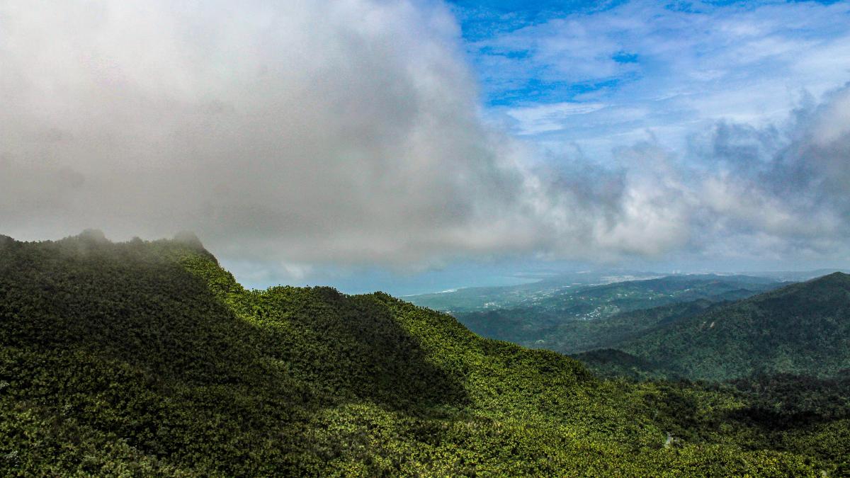 Day trip to El Yunque National Rainforest