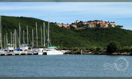 Fantastic Puerto Rico Catamaran Day Trips and Island Tours