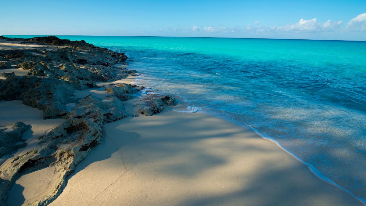 Day Trip to Bimini Island from Florida - Gorgeous Beach at Bimini Island, The Bahamas