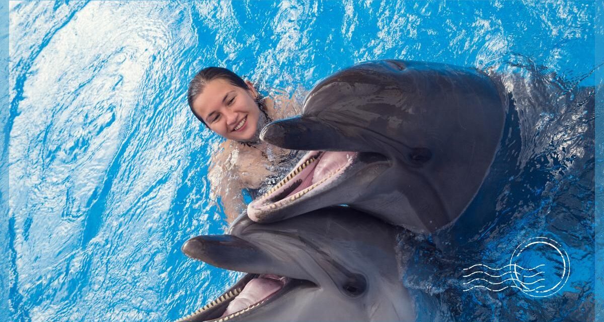 Your Guide to the Best Place to Swim with Dolphins in Cancun