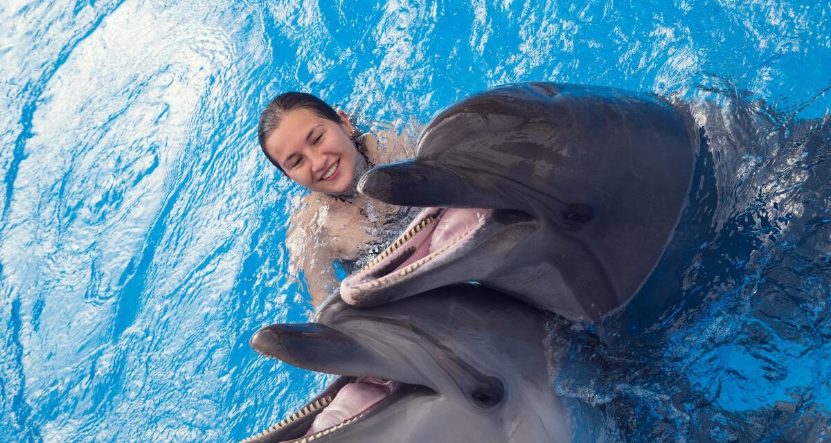 best place to swim with dolphins in cancun