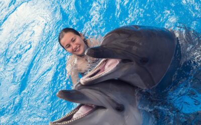 Your Guide to the Best Place to Swim with Dolphins in Cancun