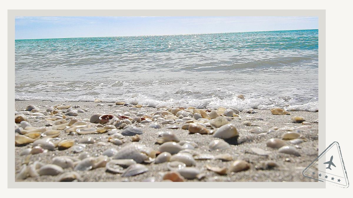 Best Beaches in Sanibel for Shelling Bowmans Beach