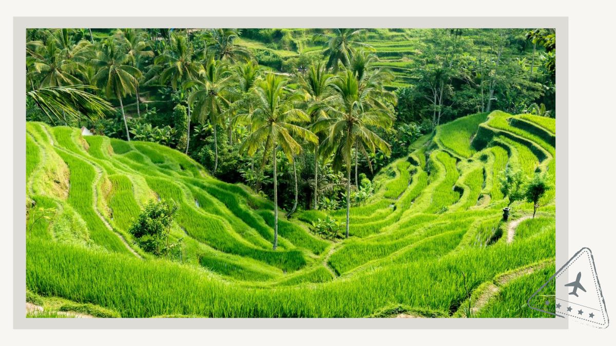 Romantic Getaways in Bali - Rice Terrace