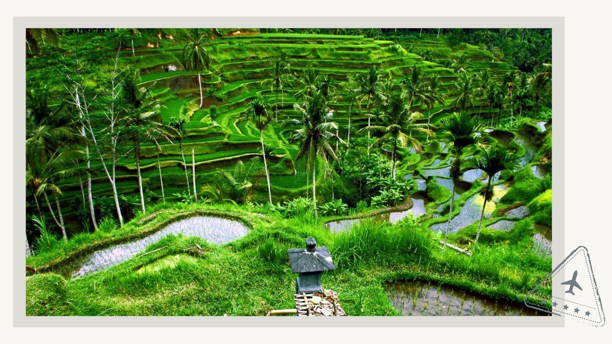 Ubud Romantic Getaways in Bali