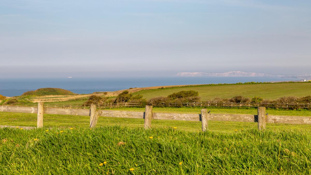 Experience the Idyllic landscape during day trips to Isle of Wight from Portsmouth