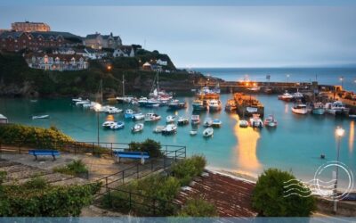 Newquay Cornwall Dolphin Boat Trips and Sea Wildlife Safaris