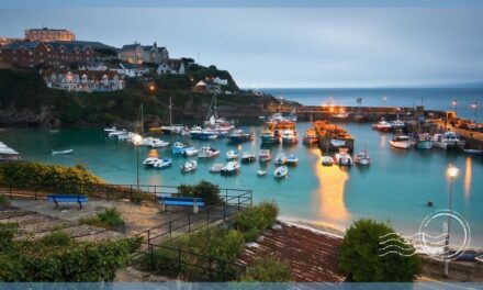 Newquay Cornwall Dolphin Boat Trips and Sea Wildlife Safaris