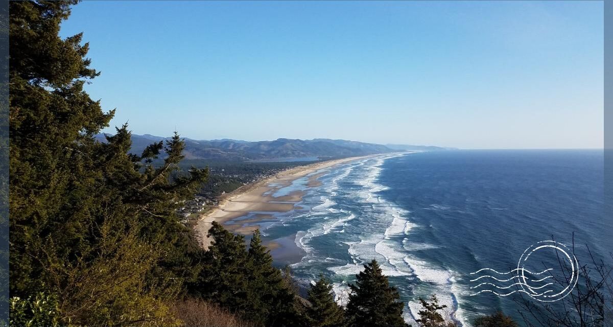 12 Most Highly Recommended Restaurants Near Manzanita Oregon