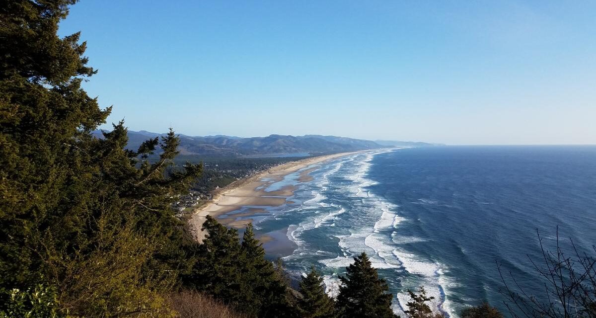 12 Most Highly Recommended Restaurants Near Manzanita Oregon