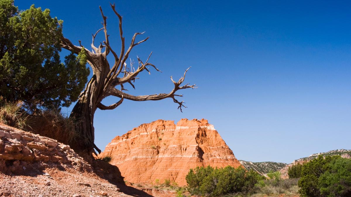 Palo Duro Canyon in Texas