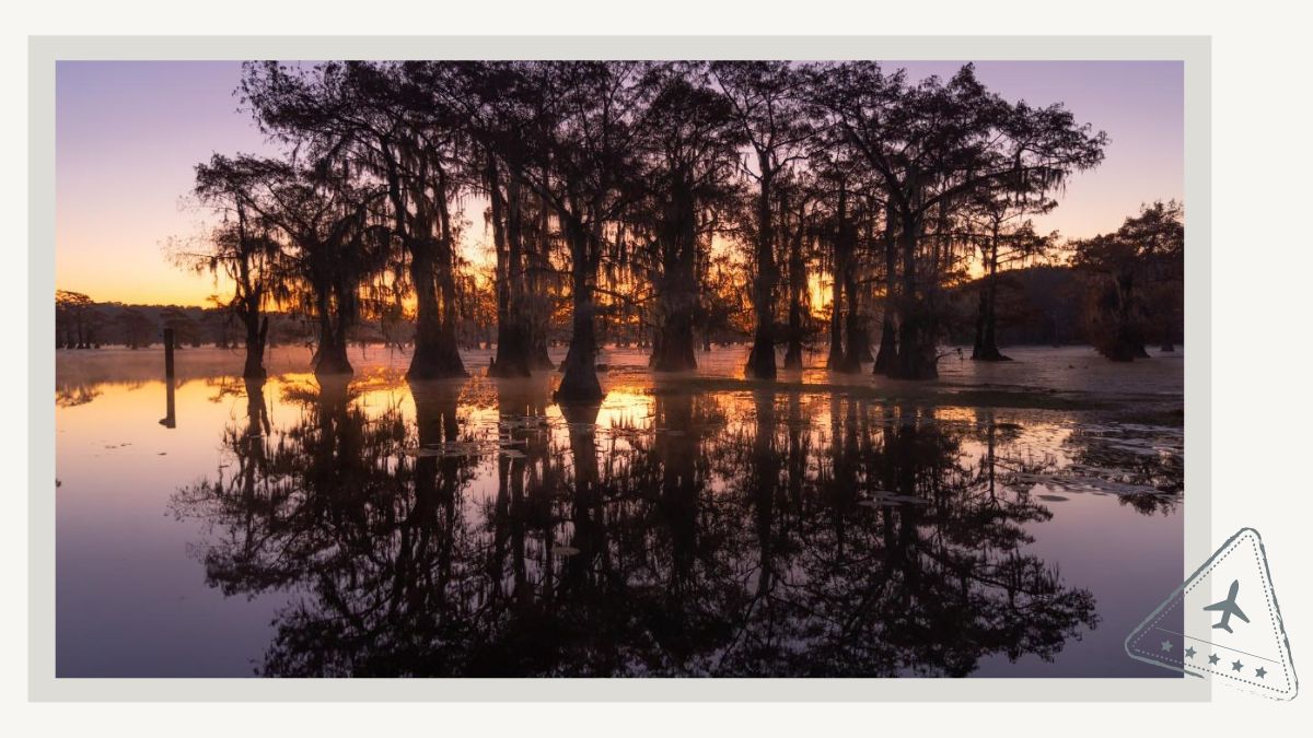 Sunrise at Caddo Lake