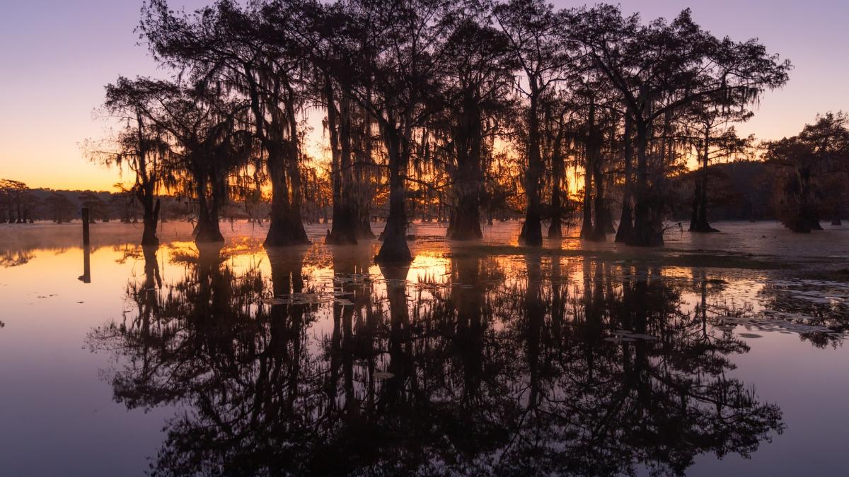 Sunrise at Caddo Lake