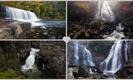 20 Stunningly Beautiful Asheville Hikes with Waterfalls