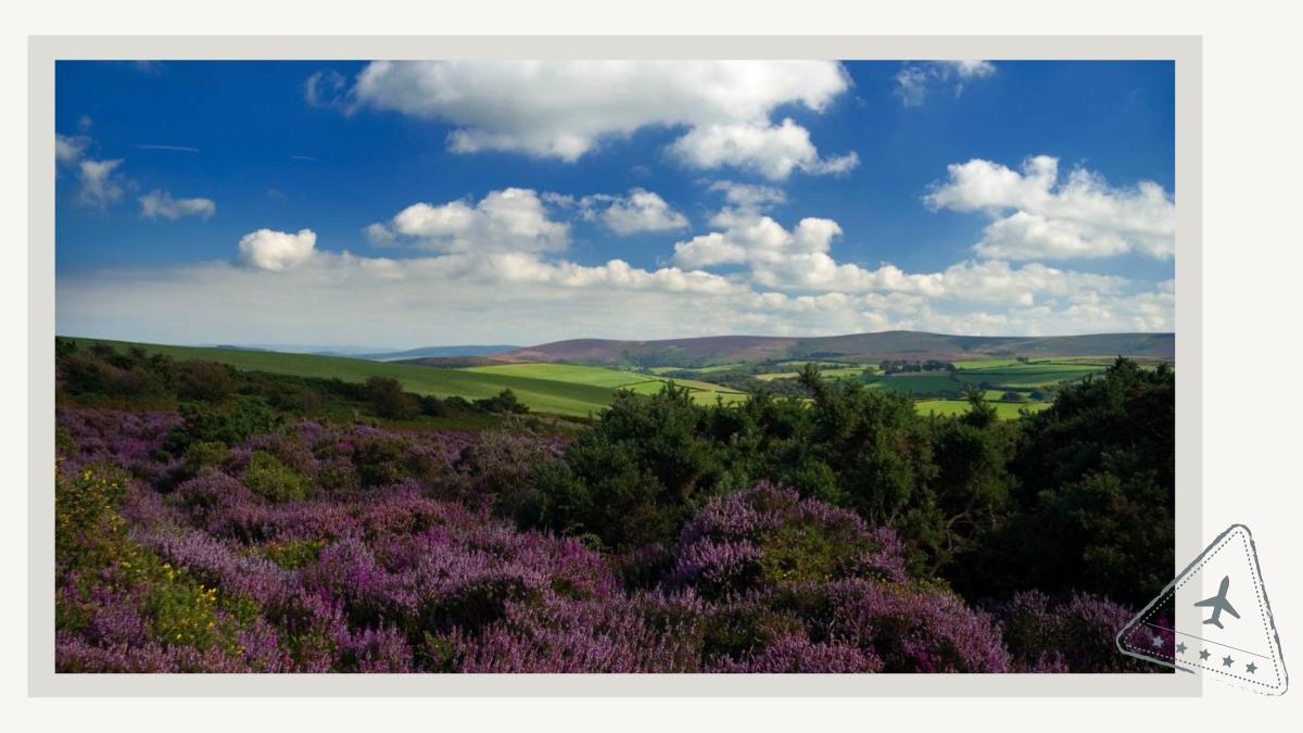 Exmoor National Park North Devon