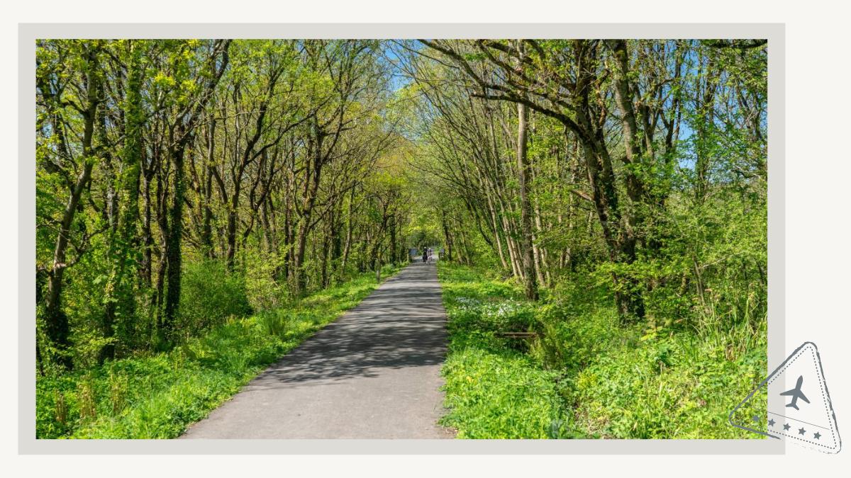 The Tarka Trail North Devon