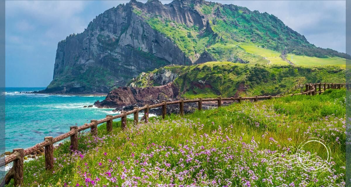 Things to do for Experiencing the Best of Jeju Island