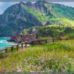 Things to do for Experiencing the Best of Jeju Island