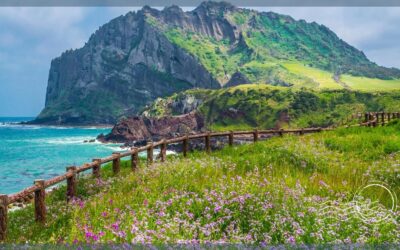 Things to do for Experiencing the Best of Jeju Island