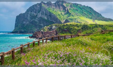 Things to do for Experiencing the Best of Jeju Island