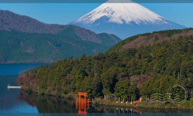 The Most Amazing Tokyo to Hakone Day Trip Itinerary Ever