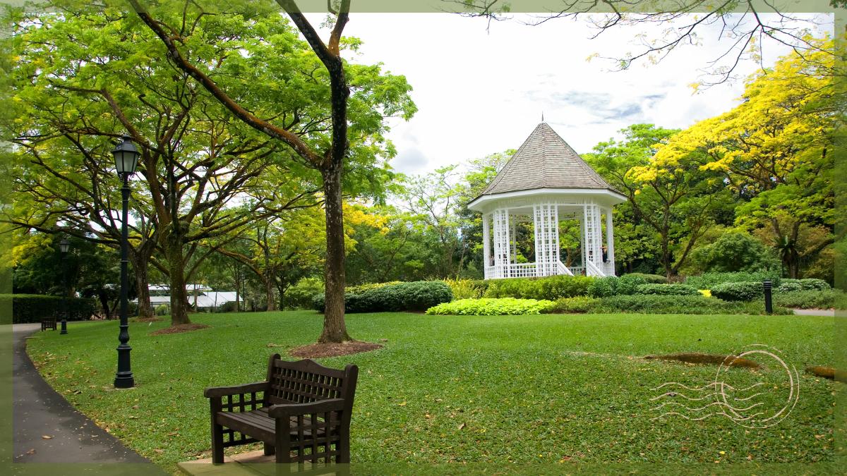 Honeymoon activities in Singapore - Singapore Botanic Gardens