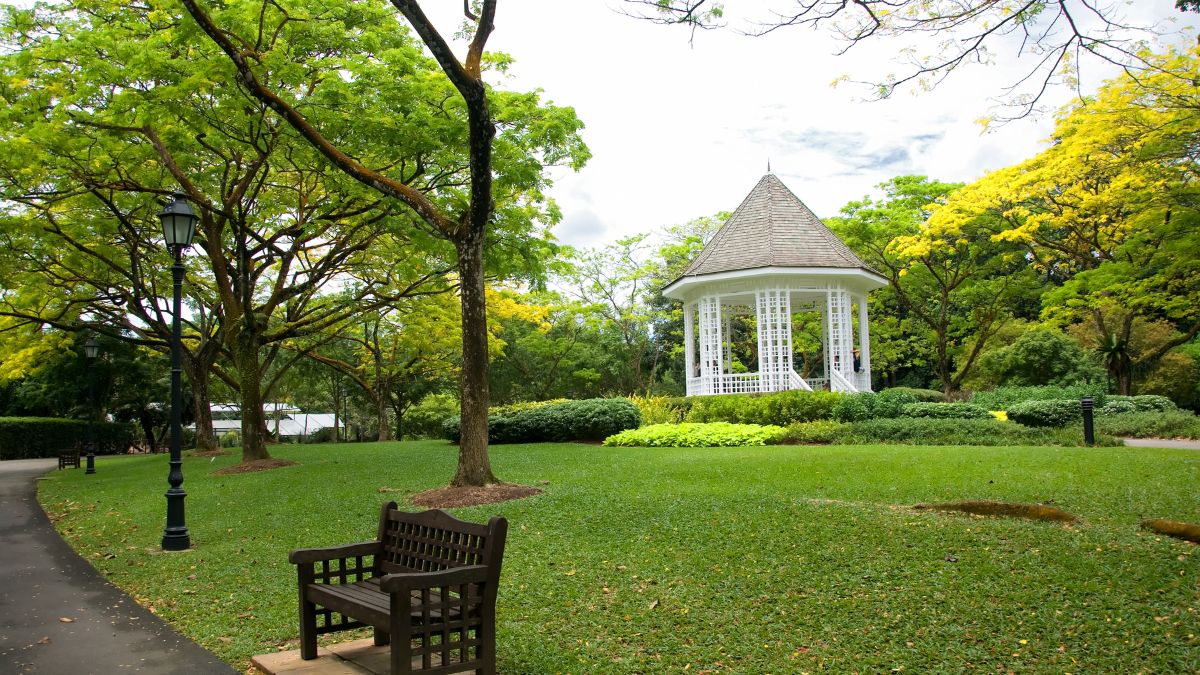 Honeymoon activities in Singapore - Singapore Botanic Gardens