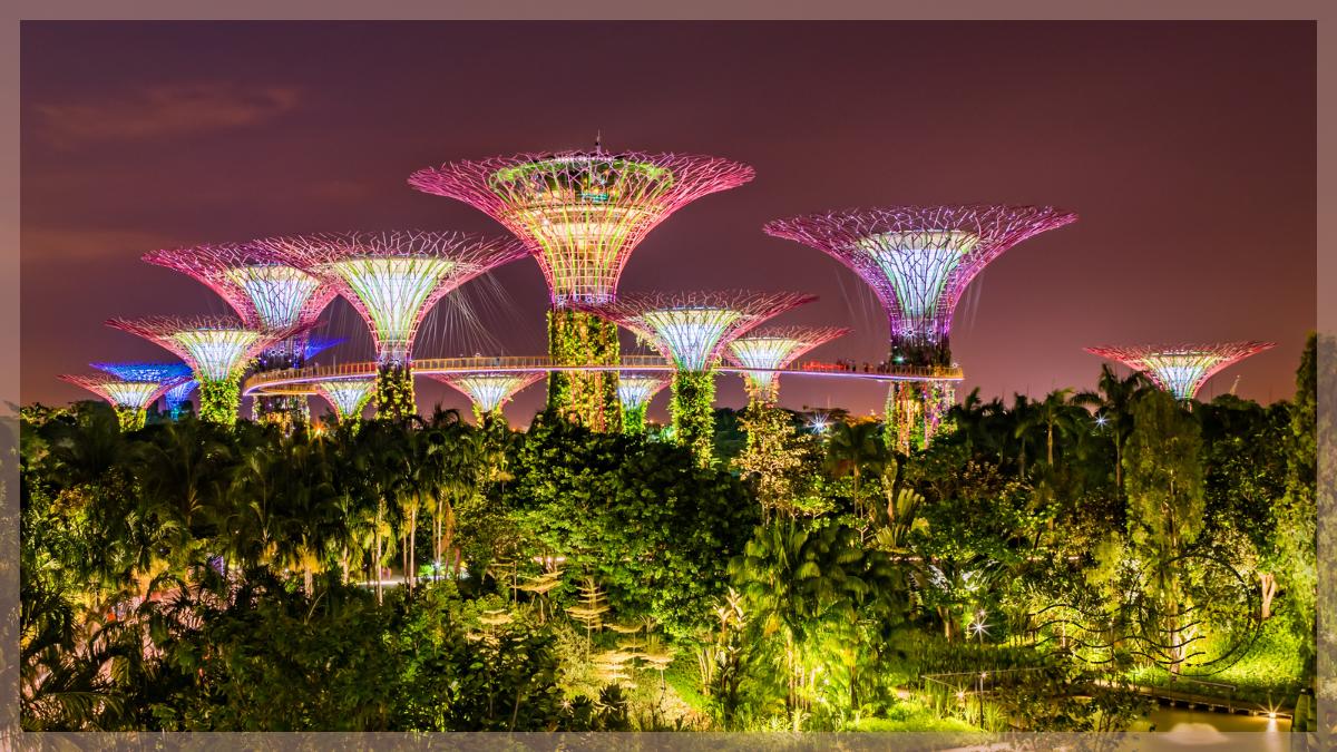 Honeymoon activities in Singapore - Flower Dome and Cloud Forest at Gardens by the Bay