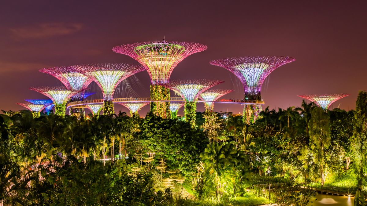 Honeymoon activities in Singapore - Flower Dome and Cloud Forest at Gardens by the Bay