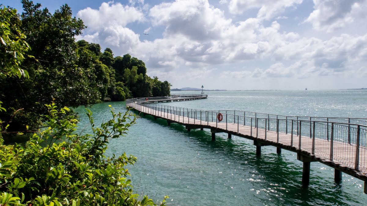 Honeymoon activities in Singapore - Mangrove Kayaking at Pulau Ubin