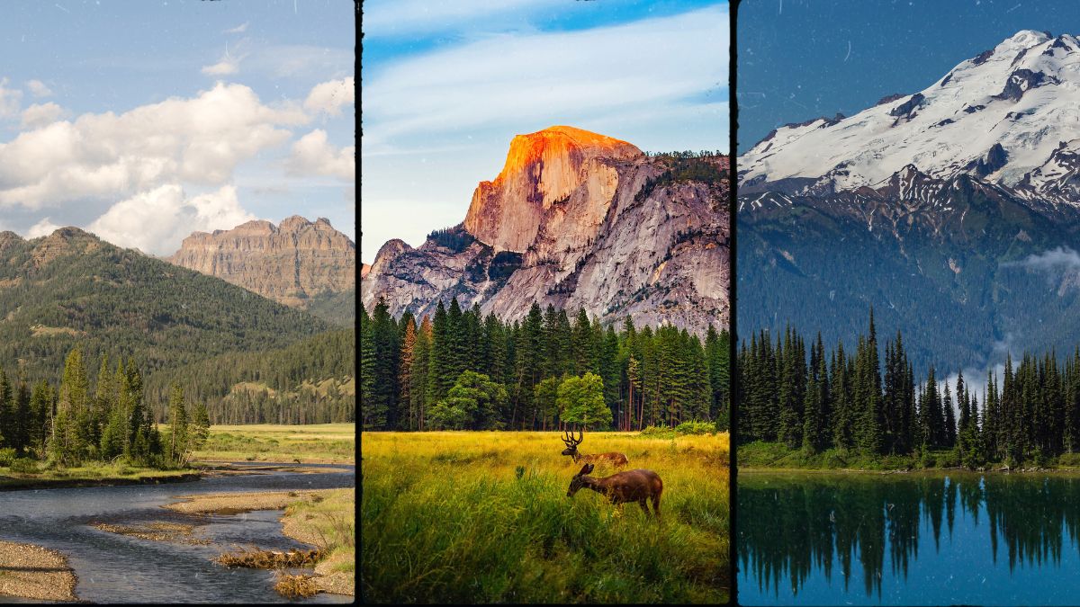 Best National Parks in USA Ranked in Every Way Possible