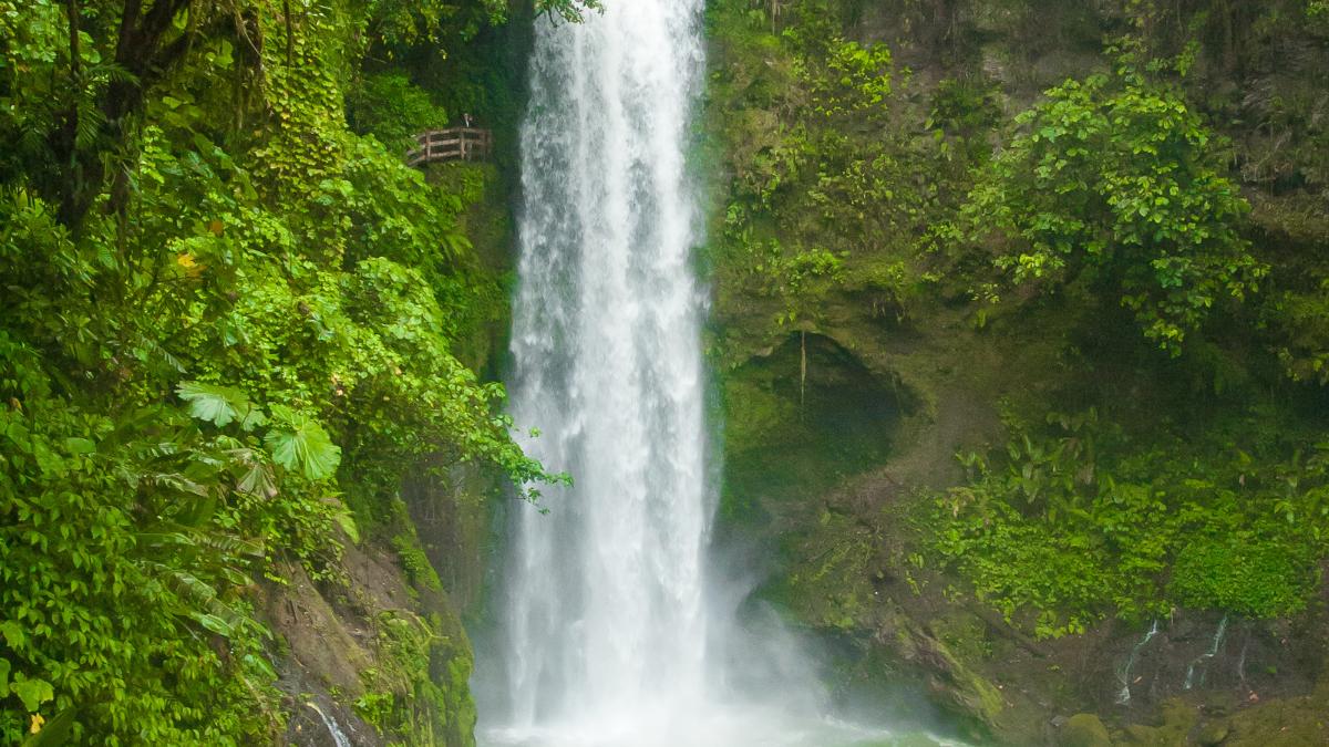 La Paz Waterfall Gardens Day Trip from San Jose Costa Rica