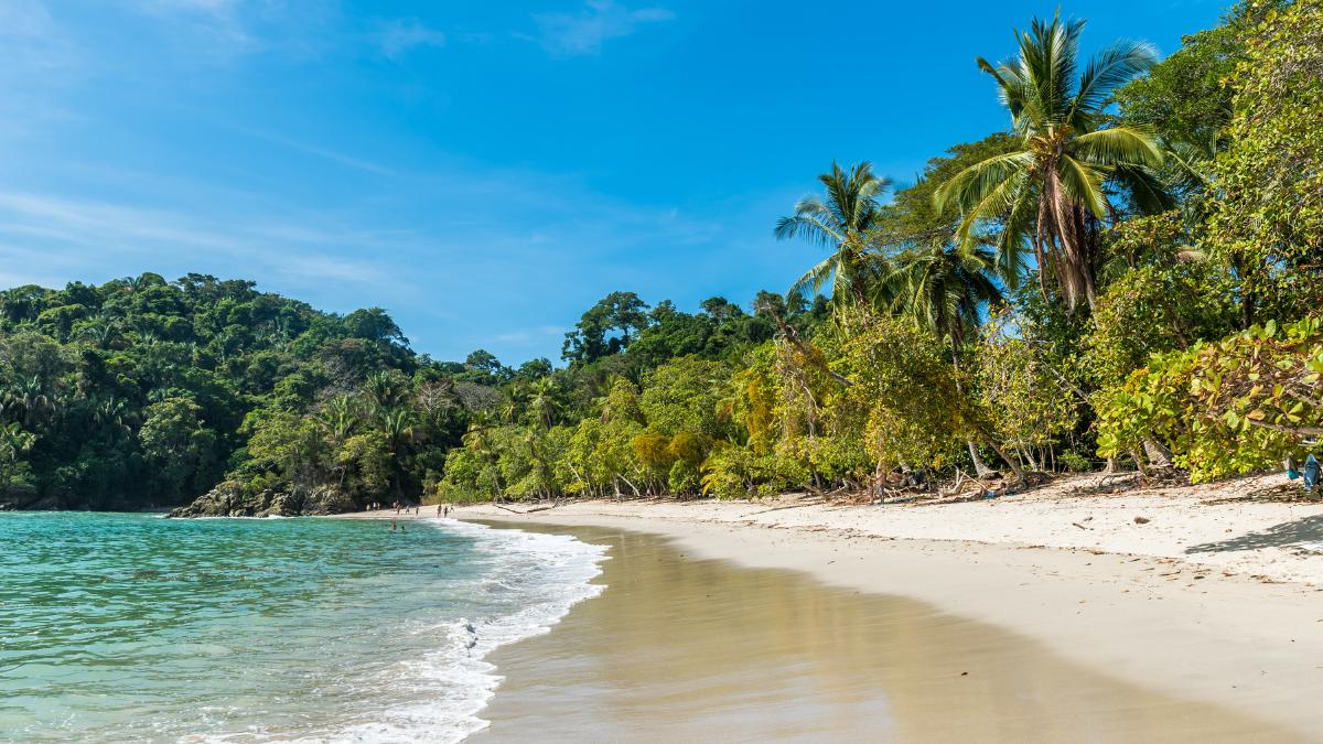 Manuel Antonio National Park Day Trip from San Jose Costa Rica