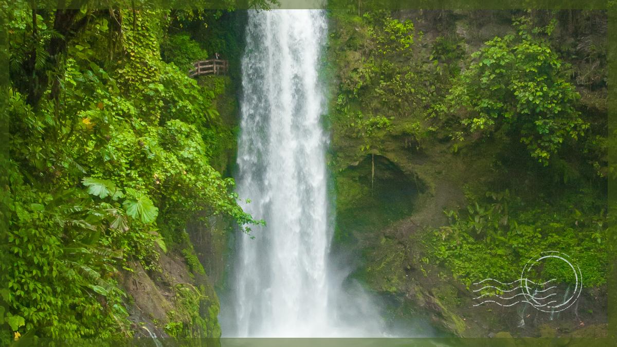 La Paz Waterfall Gardens Day Trip from San Jose Costa Rica